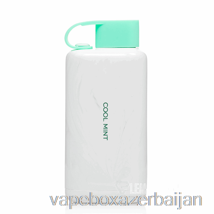 Vape Smoke VOZOL STAR 9000 Disposable Cool Mint